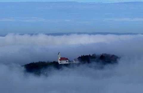 Bussen über dem Nebel